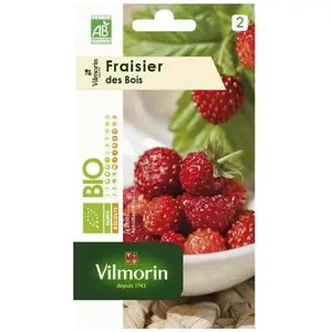 VILMORIN Graines de fraisier des bois pas cher