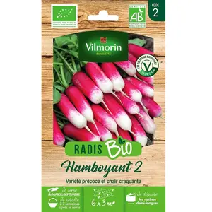 Radis flamboyant 2 bio Vilmorin