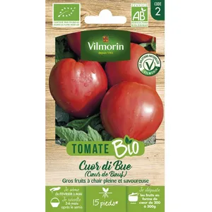 Tomate cuor di bue bio Vilmorin pas cher