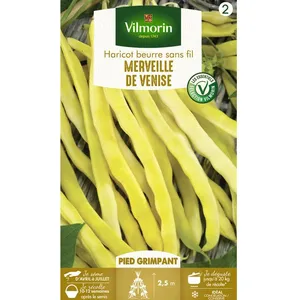 VILMORIN Haricot Merveille de Venise Sachet de graines - Mangetout beurre