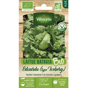 Vilmorin - Laitue Batavia Bio Eduardo (Type Iceberg) pas cher