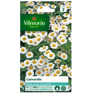 Camomille - VILMORIN - Plante potagère - Mars - Avril - Soleil - Aromatique pas cher