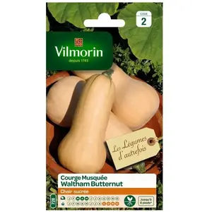 VILMORIN Courge Waltham Butternut pas cher