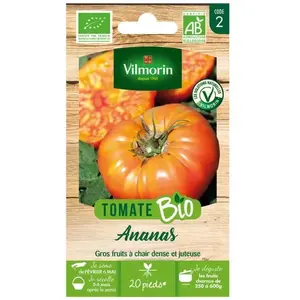 Tomate ananas jaune bio Vilmorin - Variété ancienne - Gros fruits juteux et parfumés