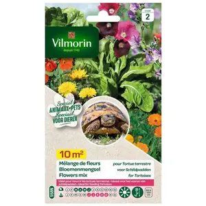 Vilmorin - Sachet de graines - Mélange de fleurs pour tortues terrestr... pas cher