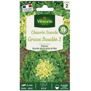 VILMORIN Chicorée Scarole Grosse Bouclée 2 pas cher