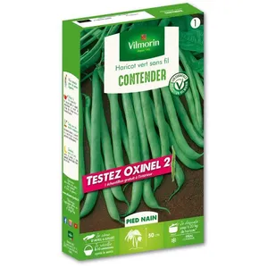 VILMORIN Haricot Nain Vert Contender + échantillon Oxinel 2