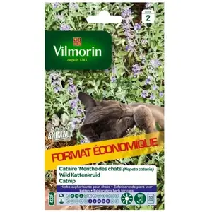 Vilmorin - Cataire Menthe Chats Gm Vl 2 pas cher