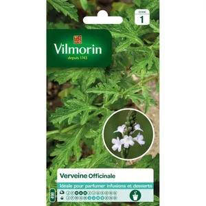 VILMORIN Sachet de graines Verveine Officinale-