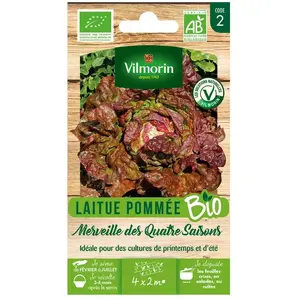 Laitue pommée merveille des 4 saisons bio Vilmorin pas cher