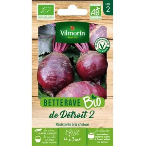 Vilmorin - Betterave Bio détroit 2 pas cher
