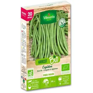 Haricot nain vert sans fil Cupidon bio 20m Vilmorin