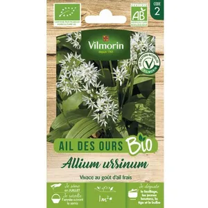 Vilmorin Ail Des Ours bio