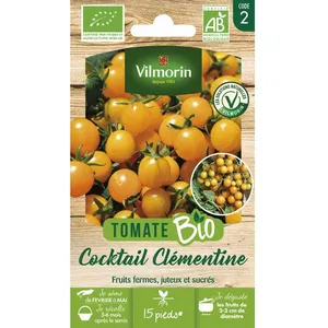 Vilmorin Tomate cerise orange clémentine bio Vilmorin pas cher