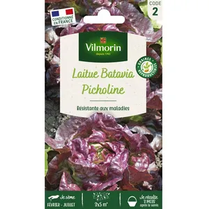 VILMORIN Laitue Picholine pas cher