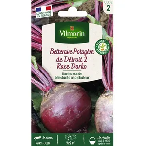 VILMORIN Betterave de Détroit 2 race Darko pas cher