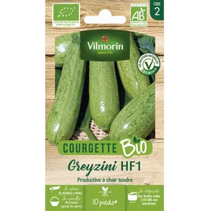 VILMORIN Courgette Greyzini - BIO pas cher