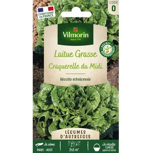 Graines - Vilmorin - Laitue Craquerelle du Midi - Légumes d' Autrefois pas cher