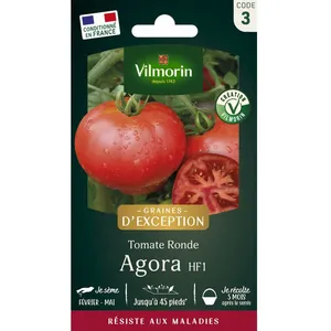 VILMORIN Tomate Agora F1 - Graines d'Exception pas cher