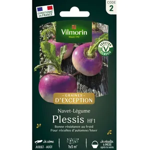 VILMORIN Navet-légume Plessis F1 - Graines d' Exception pas cher