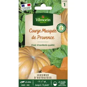 VILMORIN Courge Musquée de Provence pas cher