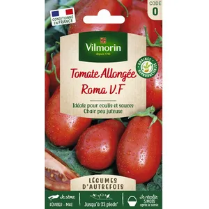 Graines - Vilmorin - Tomate Roma - Légumes d' Autrefois pas cher