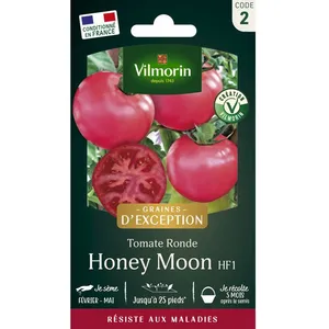 Graines - Vilmorin - Tomate Honey Moon F1 - Graines d' Exception pas cher