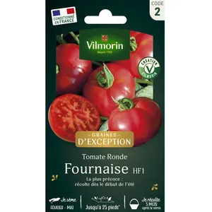 VILMORIN Tomate Fournaise F1 - Graines d' Exception pas cher
