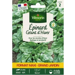 Graines - Vilmorin - Epinard Géant d' Hiver pas cher