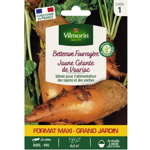 VILMORIN Betterave Fourragère Jaune Géante de Vauriac pas cher