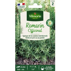 VILMORIN Romarin Officinal pas cher