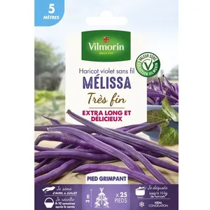 VILMORIN Haricot Melissa pas cher