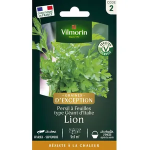 VILMORIN Persil Lion pas cher