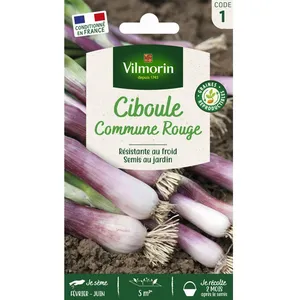 VILMORIN Ciboule Commune Rouge pas cher