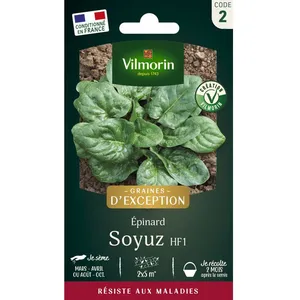 VILMORIN Epinard Soyuz pas cher