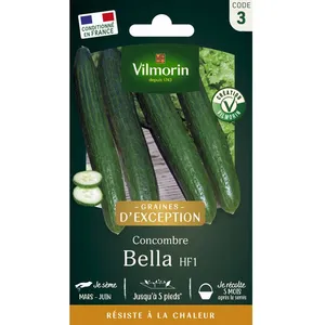 VILMORIN Concombre Bella F1 - Graines d' Exception pas cher