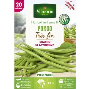 VILMORIN Haricot Pongo 20M pas cher