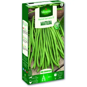VILMORIN Graines de Haricot mangetout Matilda pas cher