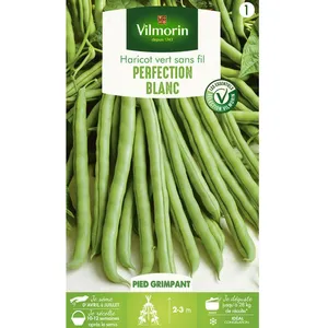 VILMORIN Haricot Blanc de Juillet pas cher