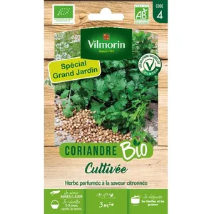 Graine - Vilmorin - Coriandre Cultivée - BIO - Grand Modèle pas cher
