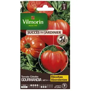VILMORIN Sachet de Graines Tomate Gourmandia HF1- Saveur et Résistance au Jardin-