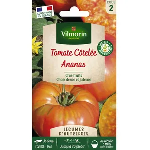 VILMORIN Tomate Ananas pas cher