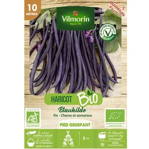 VILMORIN Haricot Blauhilde pas cher