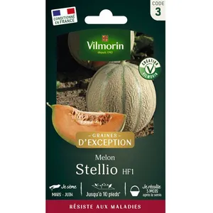 VILMORIN Melon Stellio HF1 - Graines d' Exception