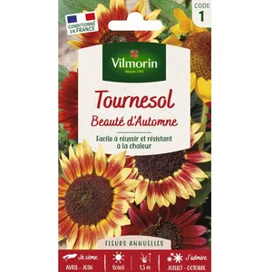 VILMORIN Tournesol Beauté d' Automne pas cher