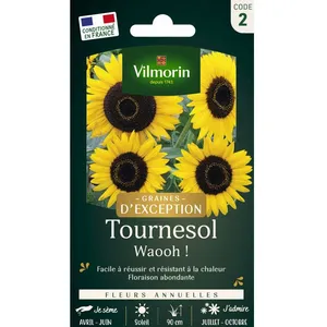 Vilmorin 5970107 Tournesol Waooh! pas cher