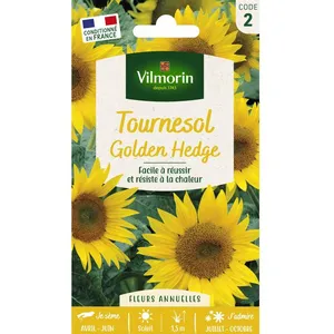 VILMORIN Tournesol Golden Hedge pas cher