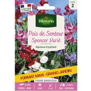 VILMORIN Pois de Senteur Spencer Varié - Grand Modèle pas cher