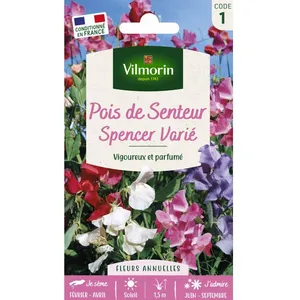 VILMORIN Pois de Senteur Spencer Varié pas cher