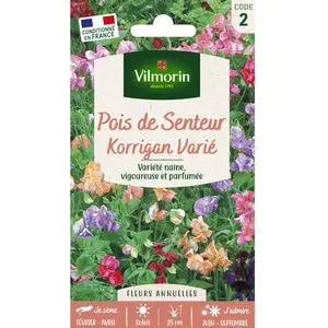 VILMORIN Pois de Senteur Korrigan varié pas cher